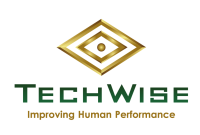 Techwise i.t. services