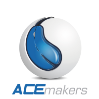 Acemakers technologies pvt ltd