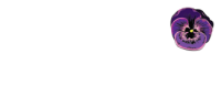 Andwa consulting