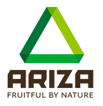 Ariza group