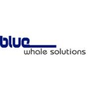 Bluewhale solutions