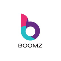 Boomzin it solutions pvt ltd