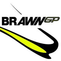 Brawn gp
