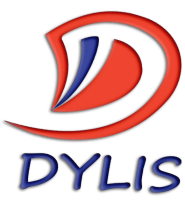 Dylis business services