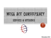 Mega ace consultancy