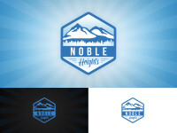 Website design company - noble heights