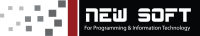 Newsoft technology limited
