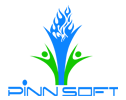 Pinnsoft consultancy services pvt limited