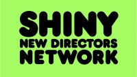 Shiny networks limited