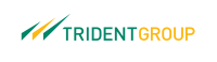 Trident sales group