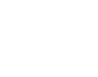 Twin systems plc