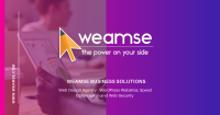 Weamse business solutions