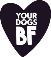 Your dog's best friend