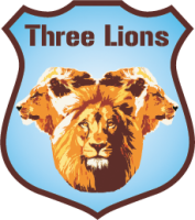 Three lion seguranca privada