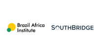 Brazil africa institute