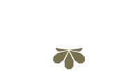 Marron cafe