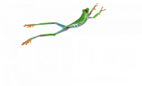 LeapFrog Solutions