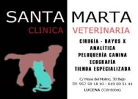 Clinica veterinaria santa marta