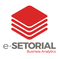 E-setorial business analytics
