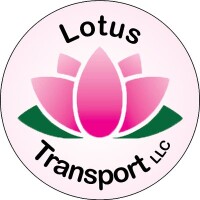 Lotus transporte