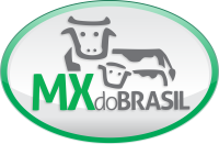 Industrias mx do brasil