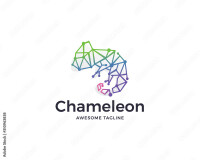 Chameleon technology (uk) ltd
