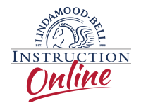 Lindamood-bell learning processes