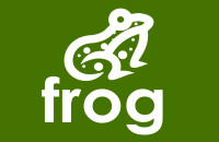 Frog it services limited