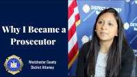 Westchester County Special Prosecutor