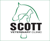Tameside veterinary clinic limited