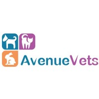 Avenue road veterinary surgeons
