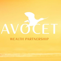 Avocet investments