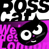 Boss cat web design london ltd