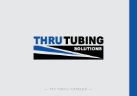 Thru tubing solutions