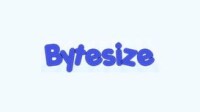 Bytesize computer services