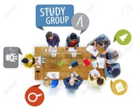Diversity study group