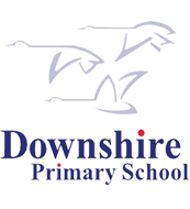 Downshire primary school