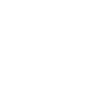 Noisily festival limited