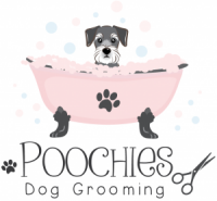 Pooch grooming ltd