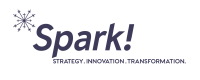 Spark consultants