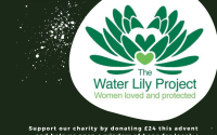 Water lily project