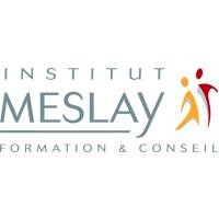 Institut meslay