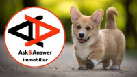 Ask&answer immobilier