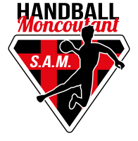 Sam handball moncoutant