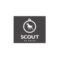 Scout marketing