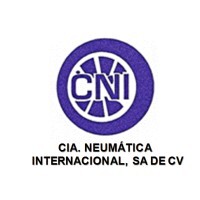 Cia. neumatica internacional s.a. de c.v.