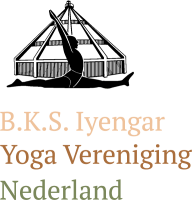 Iyengar yoga center zeeburg amsterdam