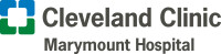 The cleveland clinic