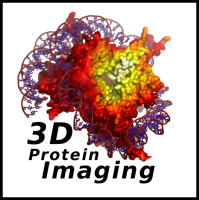 3d protein imaging