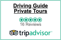 Driving guide tours s.n.c.